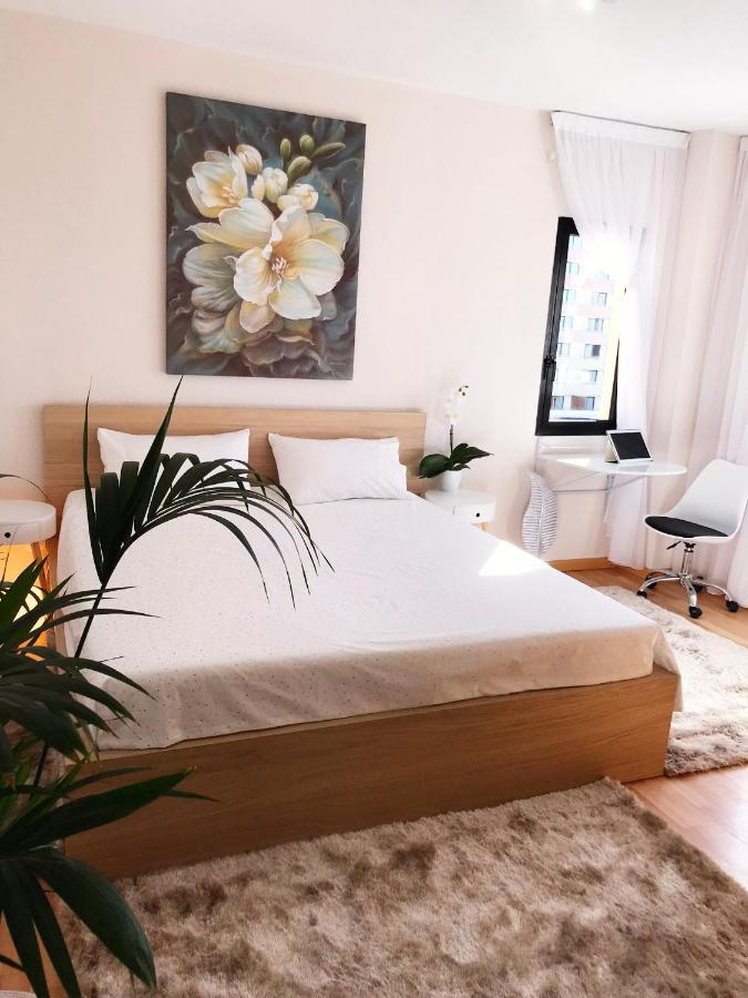 Viparaiso Apartment