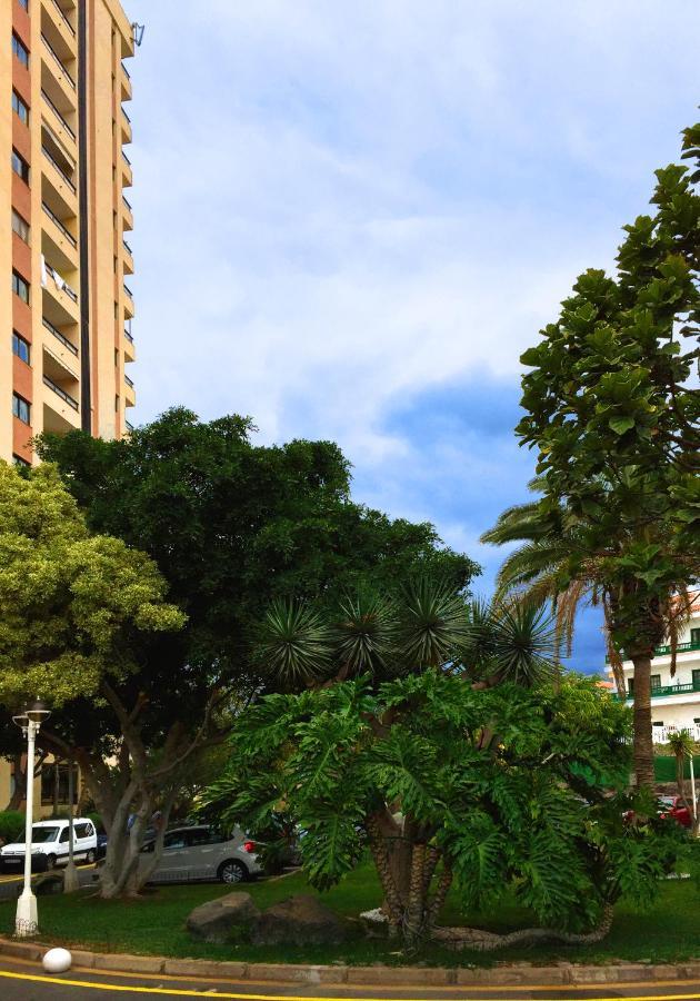 Apartment Viparaiso *