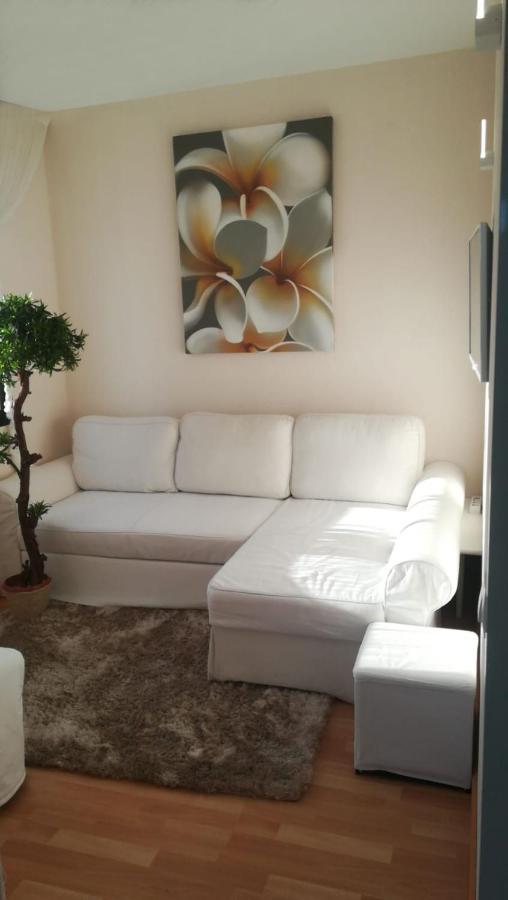 Viparaiso Apartment Costa Adeje (Tenerife)